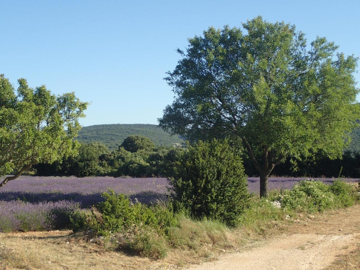 Le Rocher De Sampzon Bagian luar foto